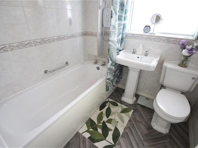 Picture 12